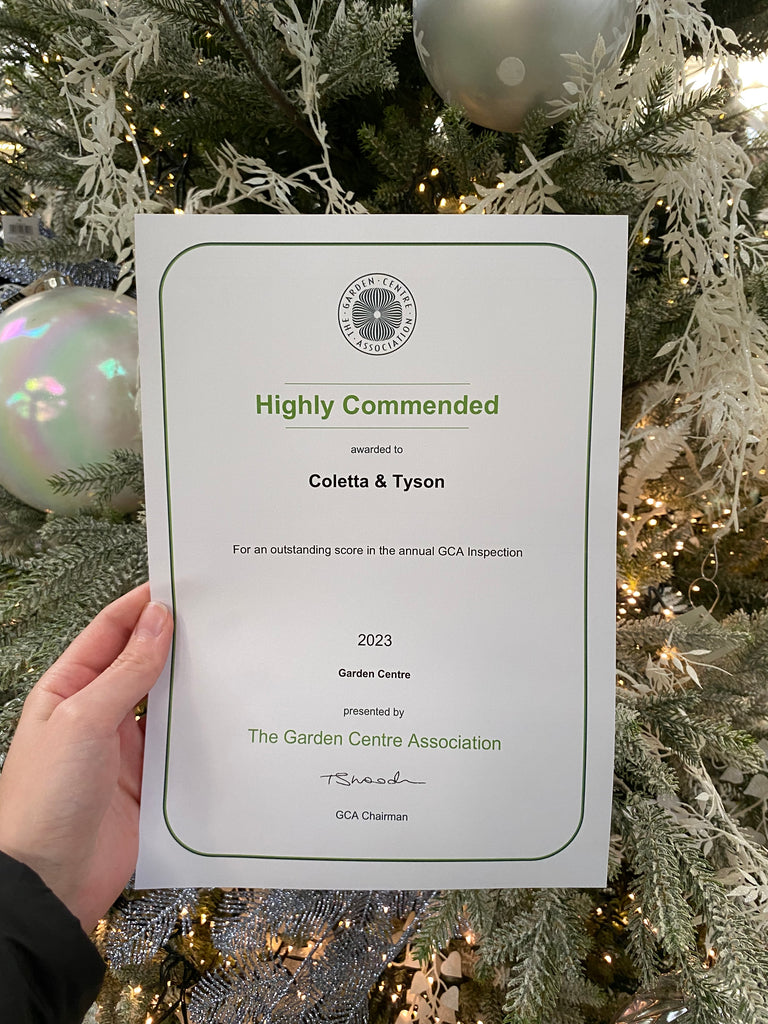 GCA Best Christmas Department Award!