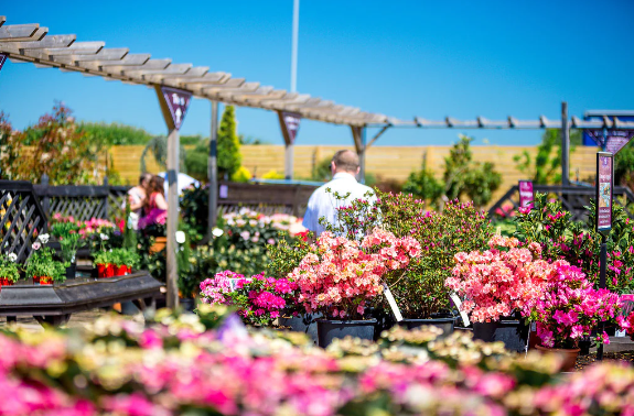 Coletta & Tyson Garden Centre in Beverley