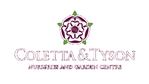 Coletta & Tyson Garden Centre