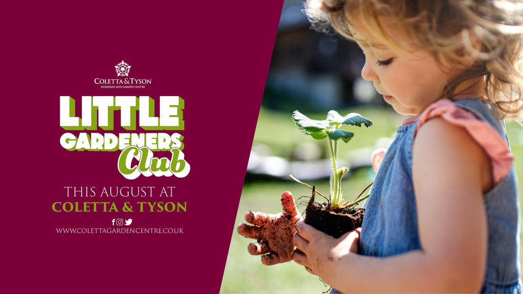 Join in our Little Gardeners Club this August!!