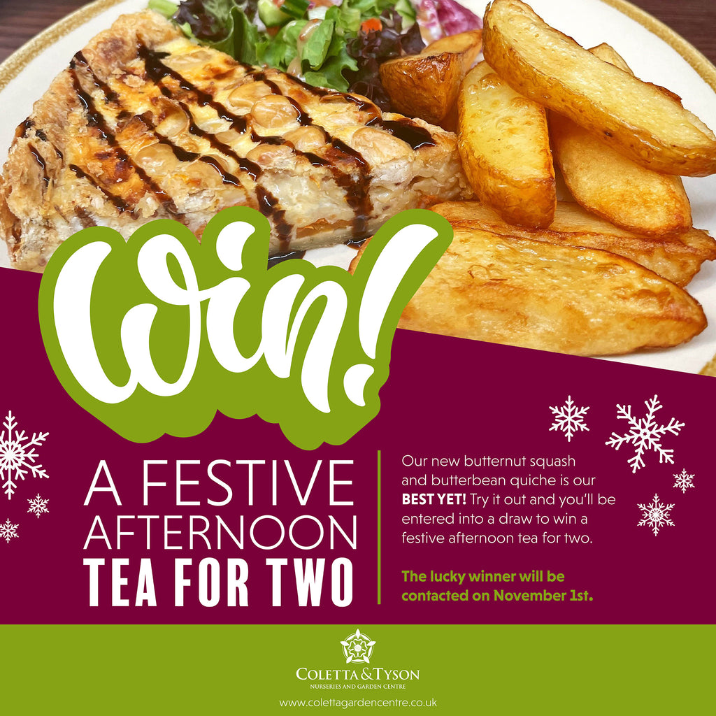 WIN Festive Afternoon Tea for Two at The Old Glasshouse!