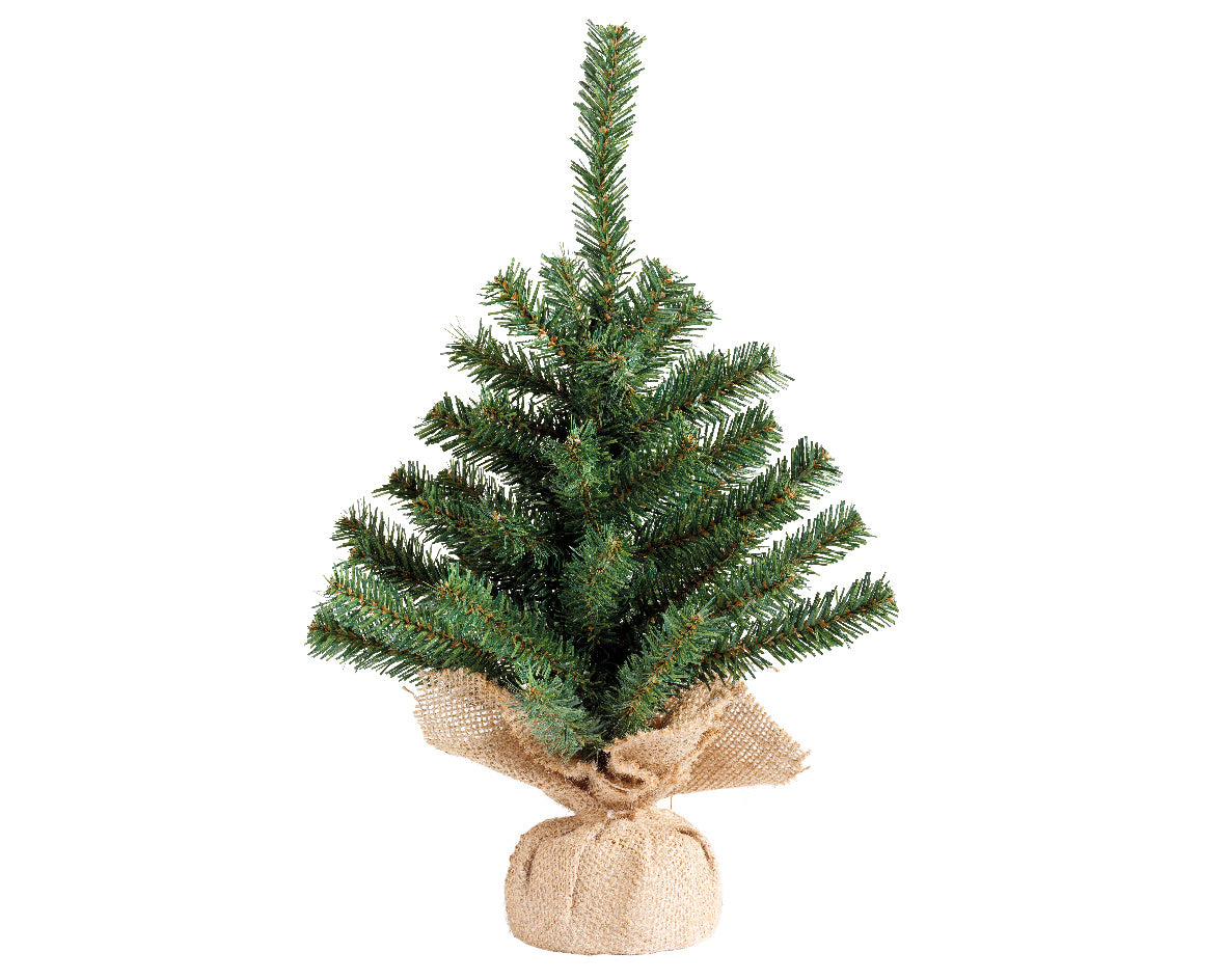 Imperial mini tree 45cm – Coletta & Tyson Garden Centre