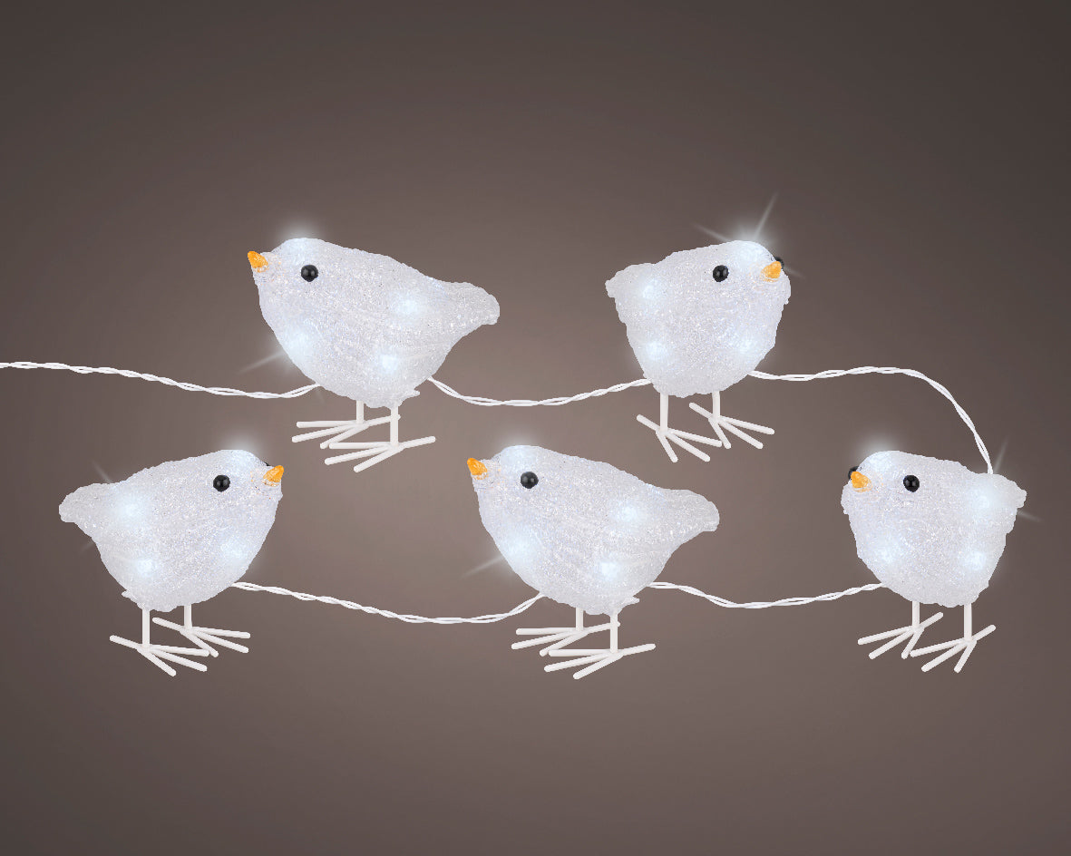LED String of Acrylic Birds- Cool White – Coletta & Tyson Garden Centre