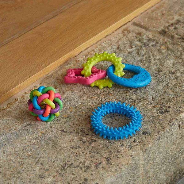 Mini Toy Pack MiniPlay Toy Combi Pack - 3pk – Coletta & Tyson Garden Centre