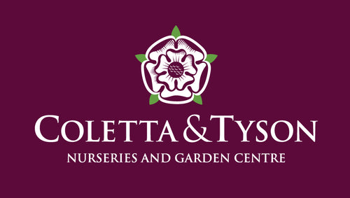 Coletta & Tyson Garden Centre
